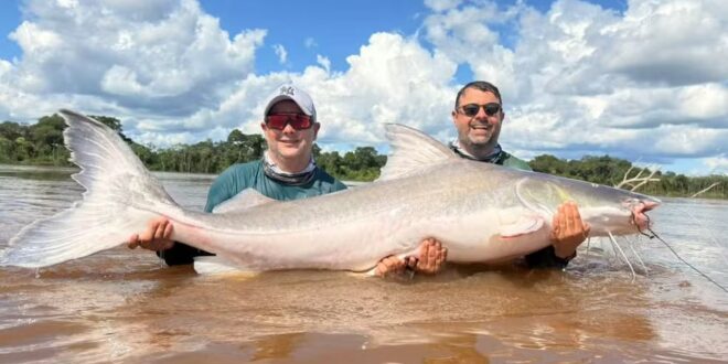 Irmãos que pescaram peixe de 2 metros e quase 100 kg que não pode ser consumido tentaram por quase 10 anos capturar animal tão grande