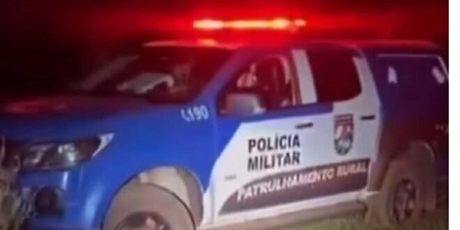 Polícia recupera gado furtado e prende dois por receptação na zona rural de Jaraguá