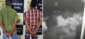 Ladrões exibem cavalos furtados durante desfile em cidade de Goiás e acabam presos, diz polícia