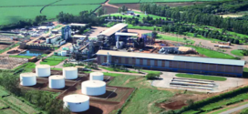 Jalles tem prejuízo de R$ 50,9 milhões no 4º trimestre de 2025/26, mas encerra ciclo no azul
