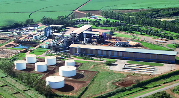 Jalles tem prejuízo de R$ 50,9 milhões no 4º trimestre de 2025/26, mas encerra ciclo no azul