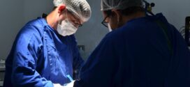 Governo de Goiás registra 64 transplantes em maio e avança com doações de órgãos