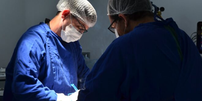 Governo de Goiás registra 64 transplantes em maio e avança com doações de órgãos